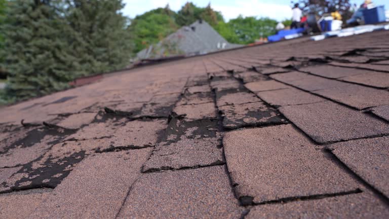 Roof Coating Services in Casa De Oro Mount Helix, CA