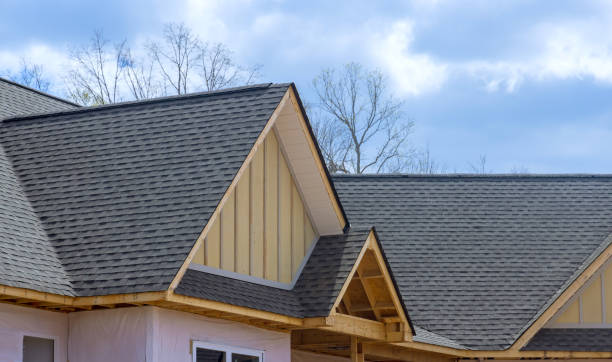 Best Solar Panel Roofing Installation  in Sa De Oro Mount Helix, CA