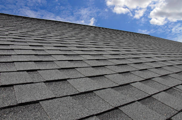 Best Roof Moss and Algae Removal  in Sa De Oro Mount Helix, CA