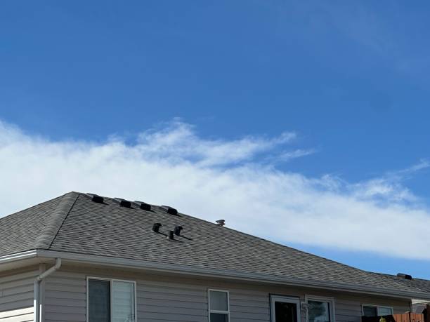 Best Skylight Installation and Repair  in Sa De Oro Mount Helix, CA